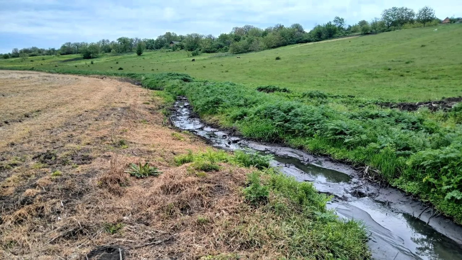 На Одещині виявили забруднення ґрунту. Фото: Держекоінспекція