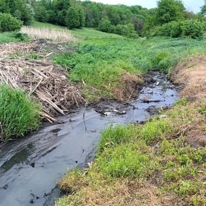 На Одещині виявили забруднення ґрунту. Фото: Держекоінспекція