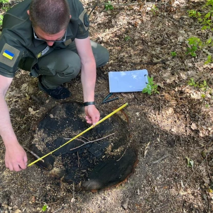 Незаконна рубка дубів на Одещині. Фото Державна екологічна інспекція Південно-Західного округу