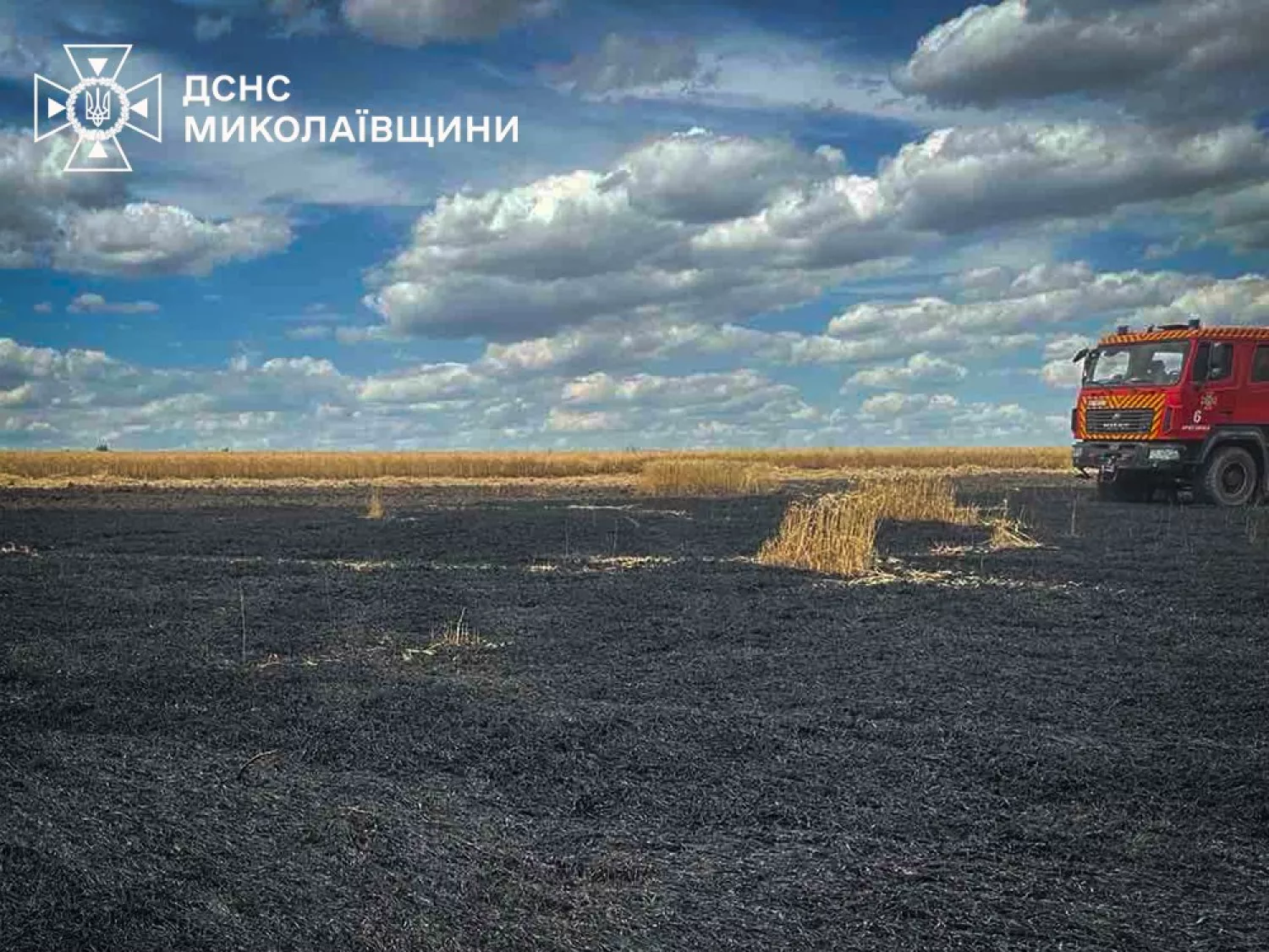 Пожежі у Миколаївській області 9 липня. Фото: ДСНС Миколаївщини