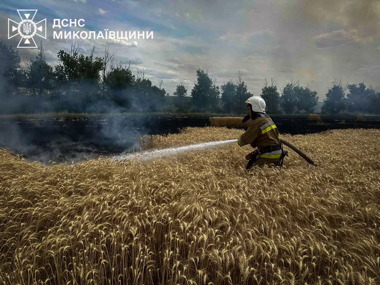 Пожежі у Миколаївській області 9 липня. Фото: ДСНС Миколаївщини