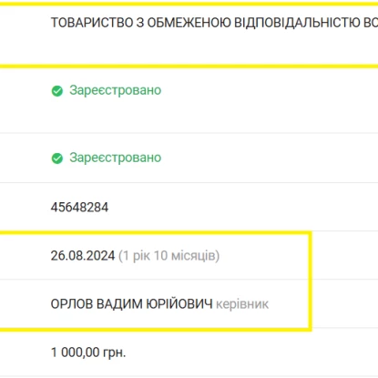 Підприємства-клони. Скриншот Prozorro