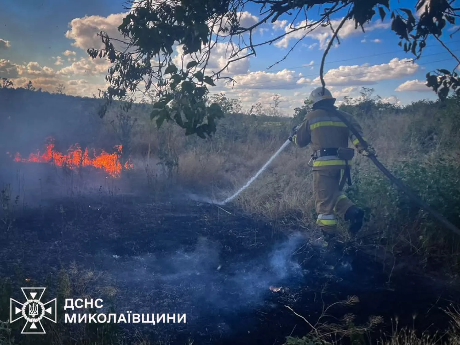 Ліквідація пожежі на Миколаївщині 12 липня. Фото: ДСНС