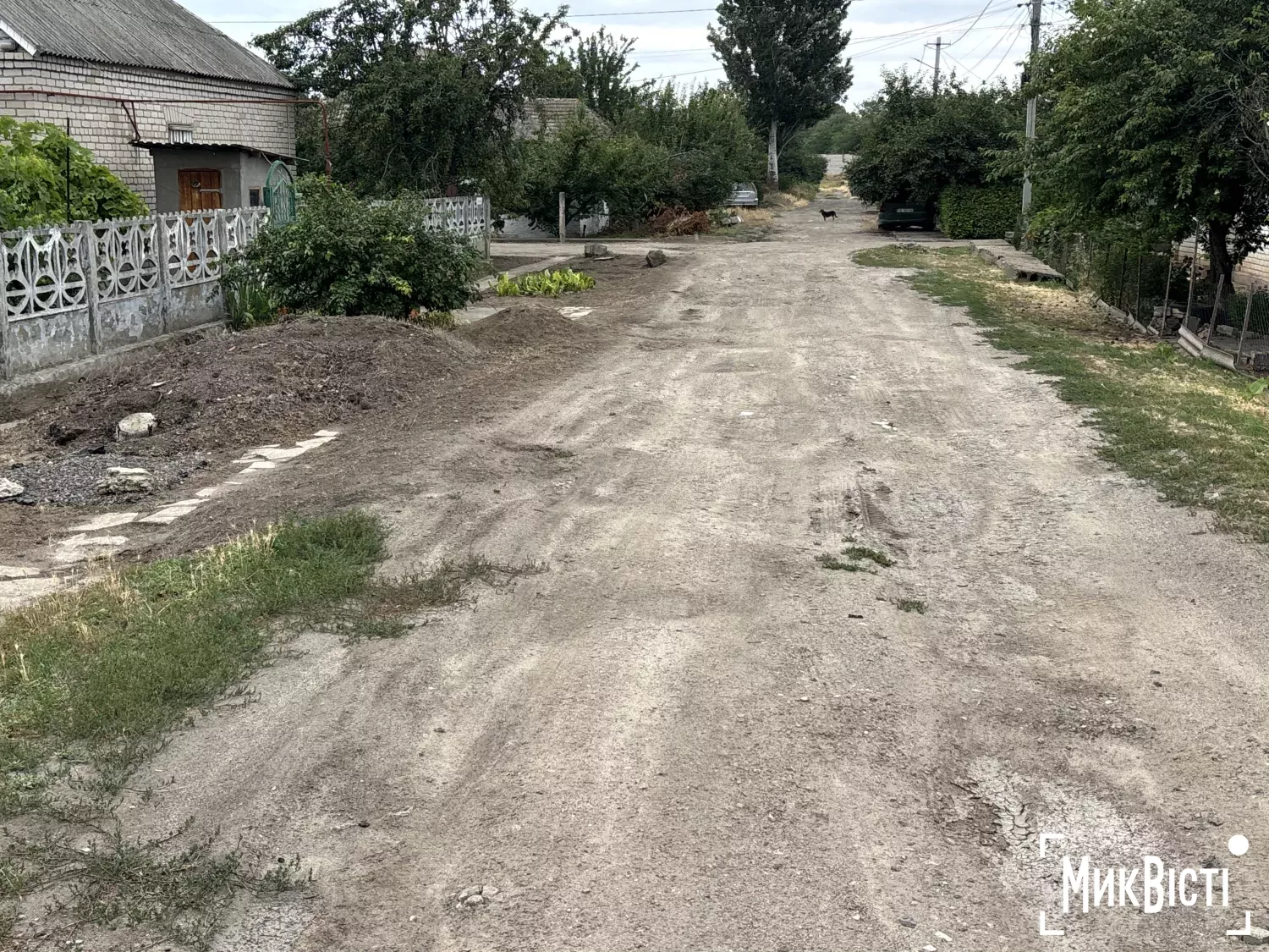 Фото: МикВісті
