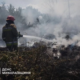Пожежа у Миколаївській області 13 липня. Фото: ДСНС