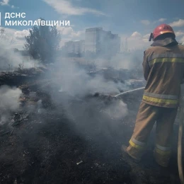 Пожежа у Миколаївській області 13 липня. Фото: ДСНС
