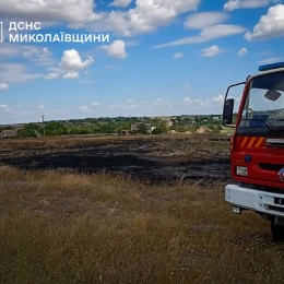 Пожежа у Миколаївській області 13 липня. Фото: ДСНС