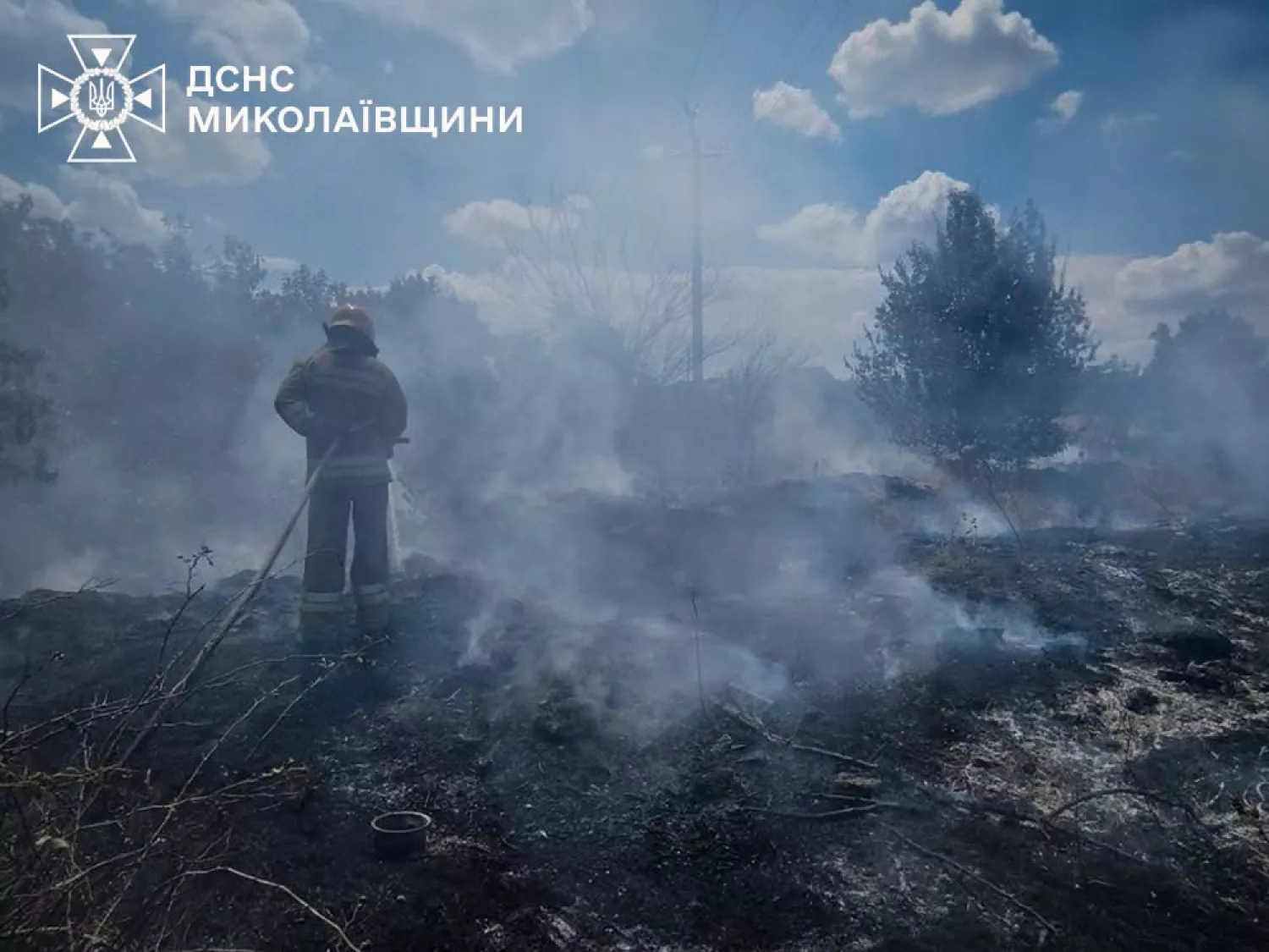 Пожежа у Миколаївській області 13 липня. Фото: ДСНС