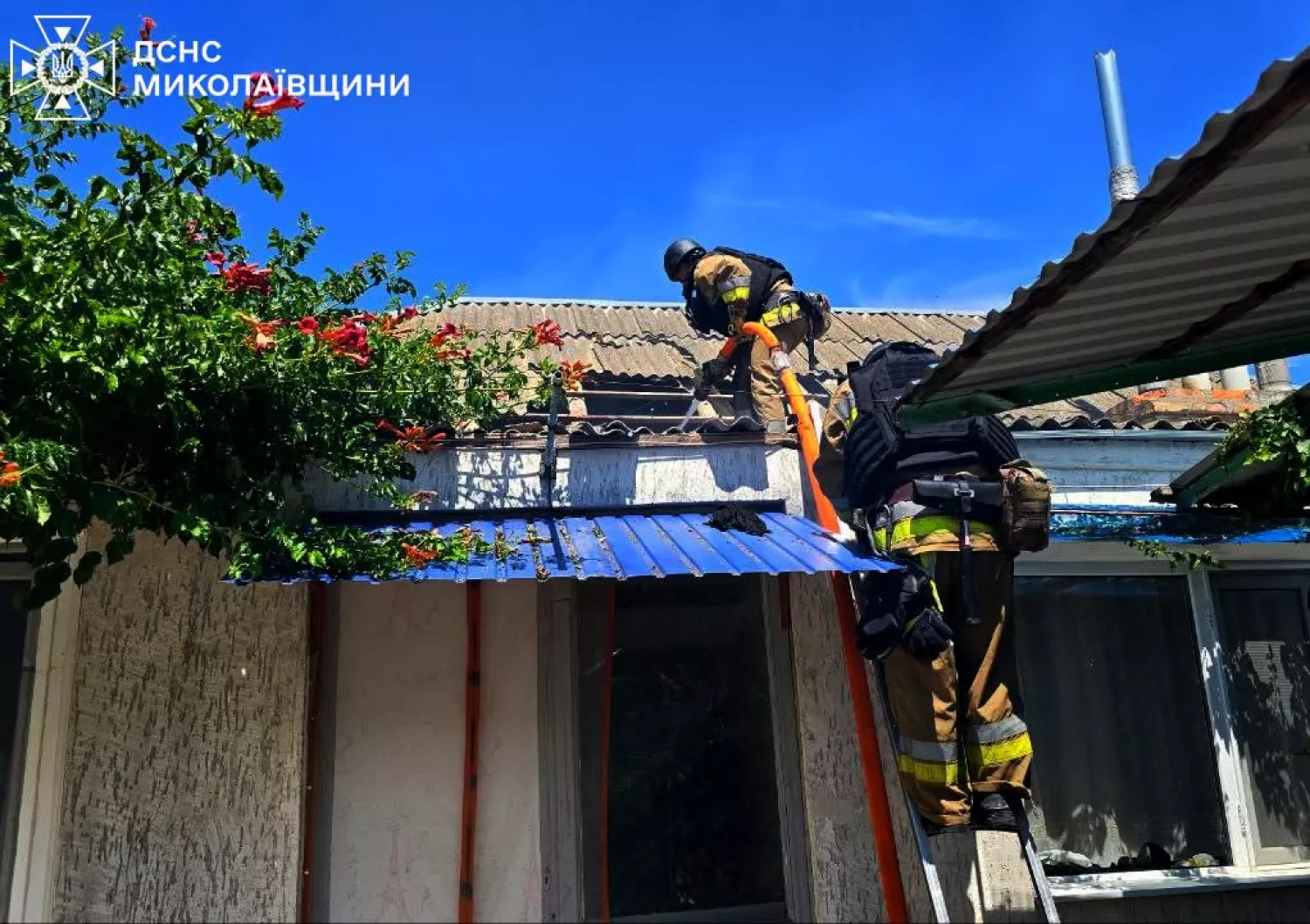 Пожежа у Миколаївській області 14 липня. Фото: ДСНС