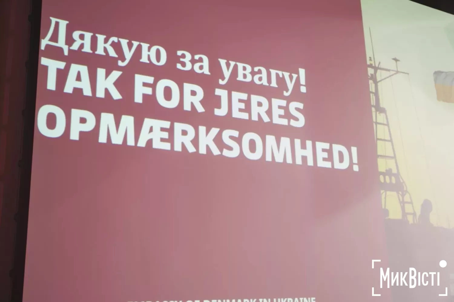 У Миколаєві обговорили мовні особливості Данії. Фото NikVesti