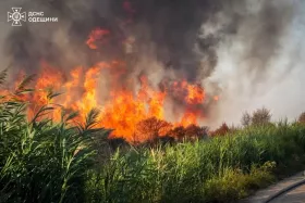 На Одещині внаслідок обстрілу вигоріло 10 гектарів пшениці. Ілюстративне фото: ДСНС Одещини