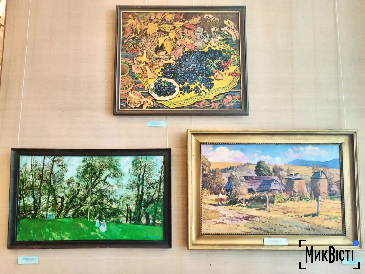 У Миколаєві відкрили виставку про цінність миру. Фото: Галина Сеннікова, МикВісті