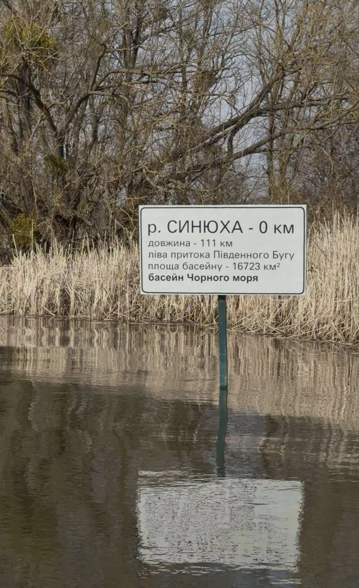 Річка Синюха. Фото: Lenta.ua