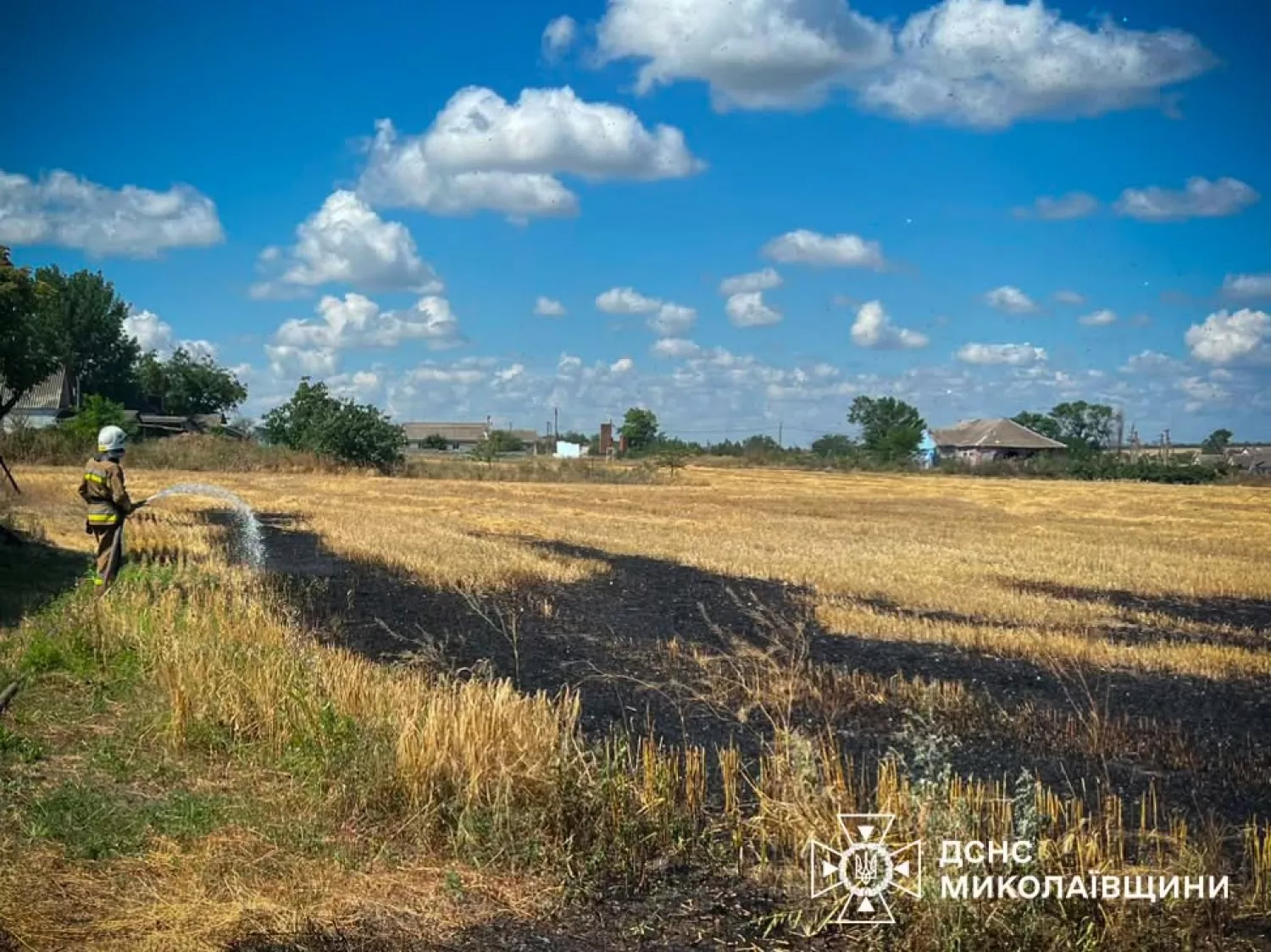 Пожежа у Миколаївській області 15 липня. Фото: ДСНС