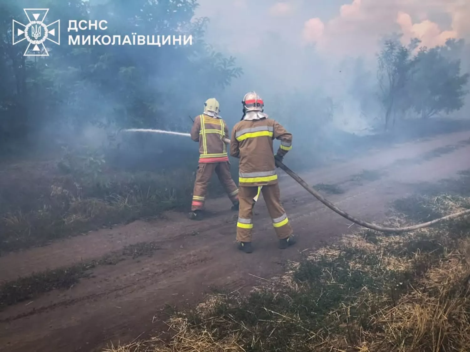 Пожежа у Миколаївській області 16 липня. Фото: ДСНС