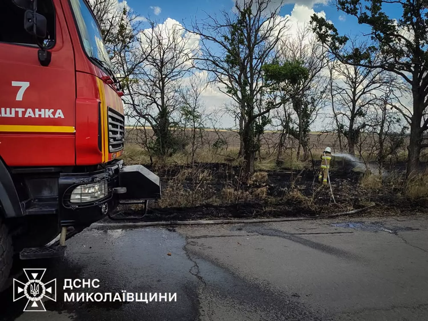 Пожежа у Миколаївській області 16 липня. Фото: ДСНС