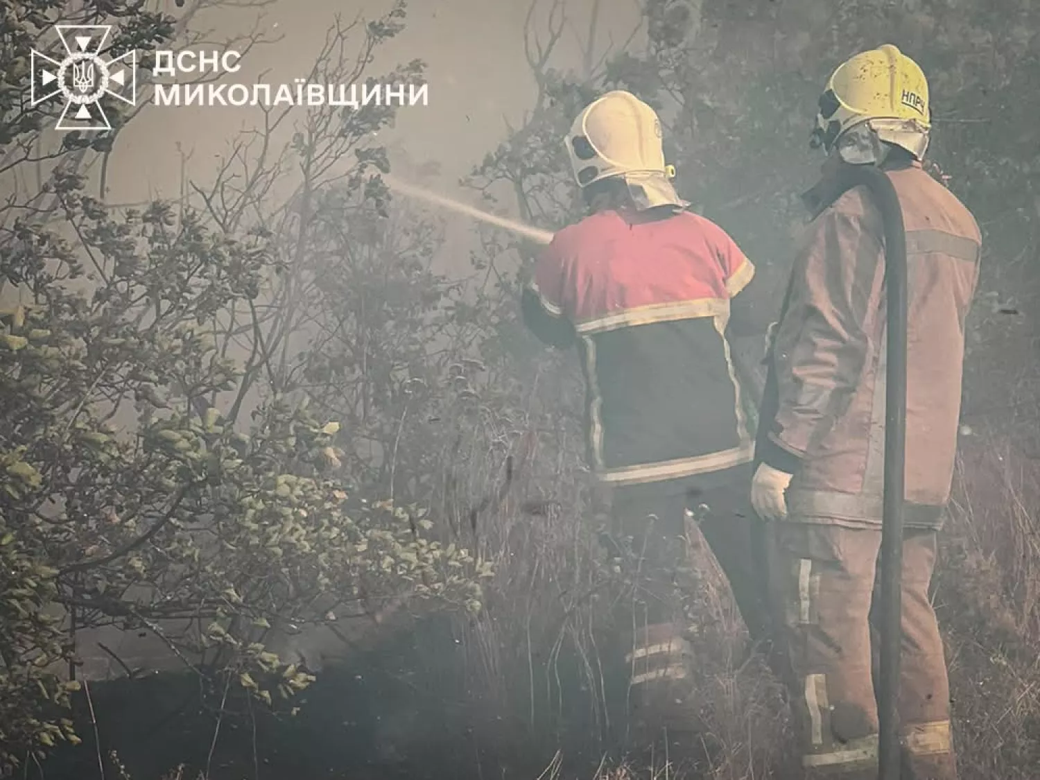 Пожежа у Миколаївській області 16 липня. Фото: ДСНС