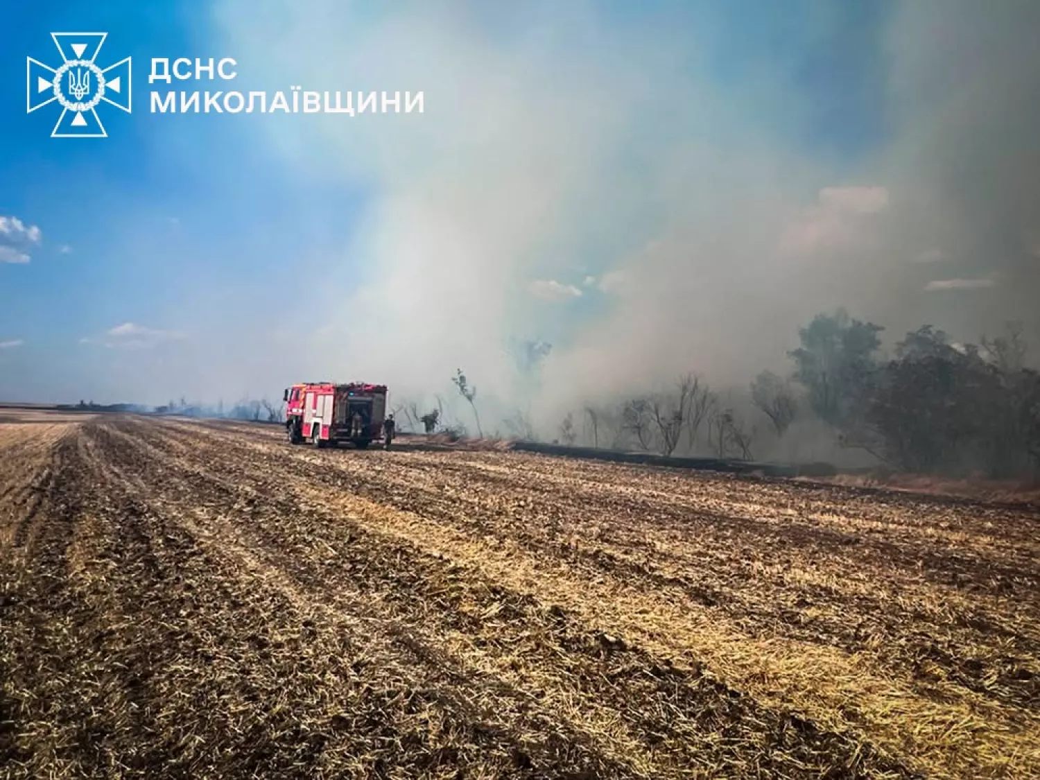Пожежа у Миколаївській області 16 липня. Фото: ДСНС