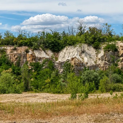 На Миколаївщині створили перший велосипедний маршрут Трикратським лісом. Фото: Ліси України