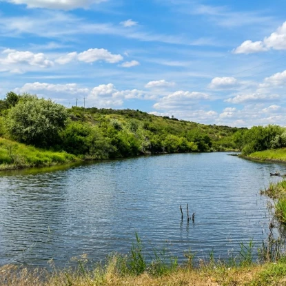 На Миколаївщині створили перший велосипедний маршрут Трикратським лісом. Фото: Ліси України