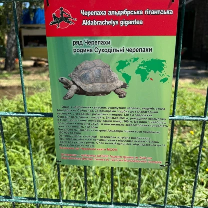 Миколаївському зоопарку подарували дві гігантські черепахи. Фото: Володимир Топчий
