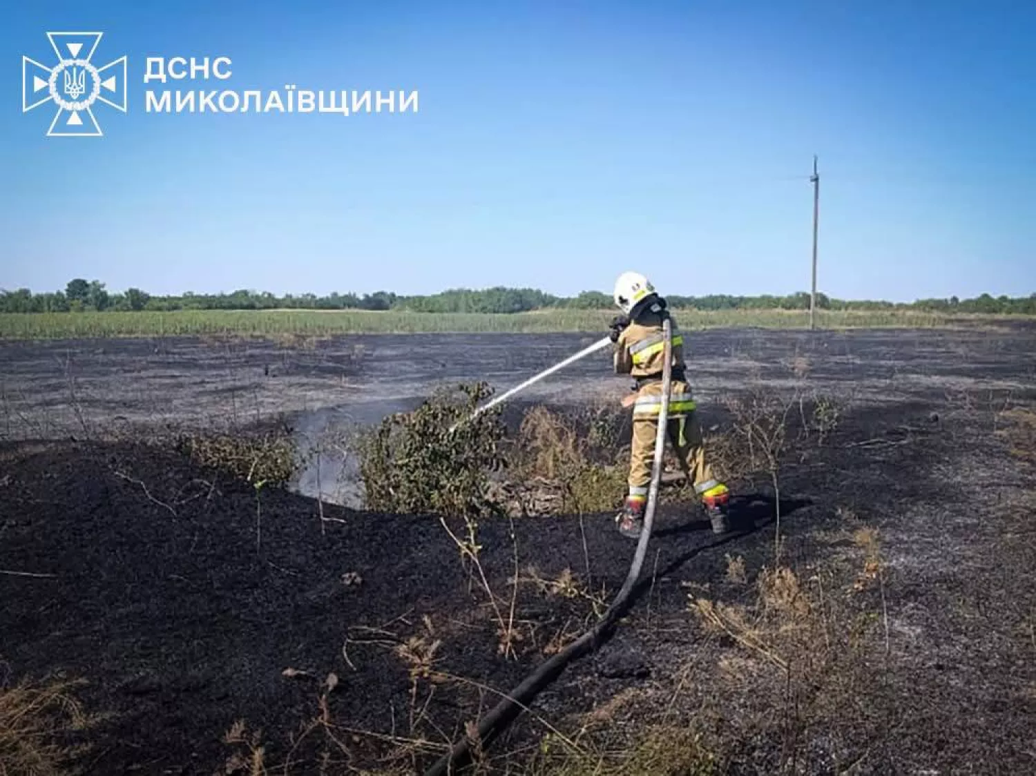 Минулої доби через пожежі на Миколаївщині згоріло понад 1,5 гектара пшениці. Фото: ДСНС Миколаївщини