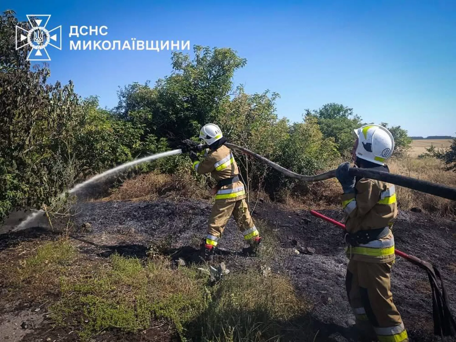 Минулої доби через пожежі на Миколаївщині згоріло понад 1,5 гектара пшениці. Фото: ДСНС Миколаївщини
