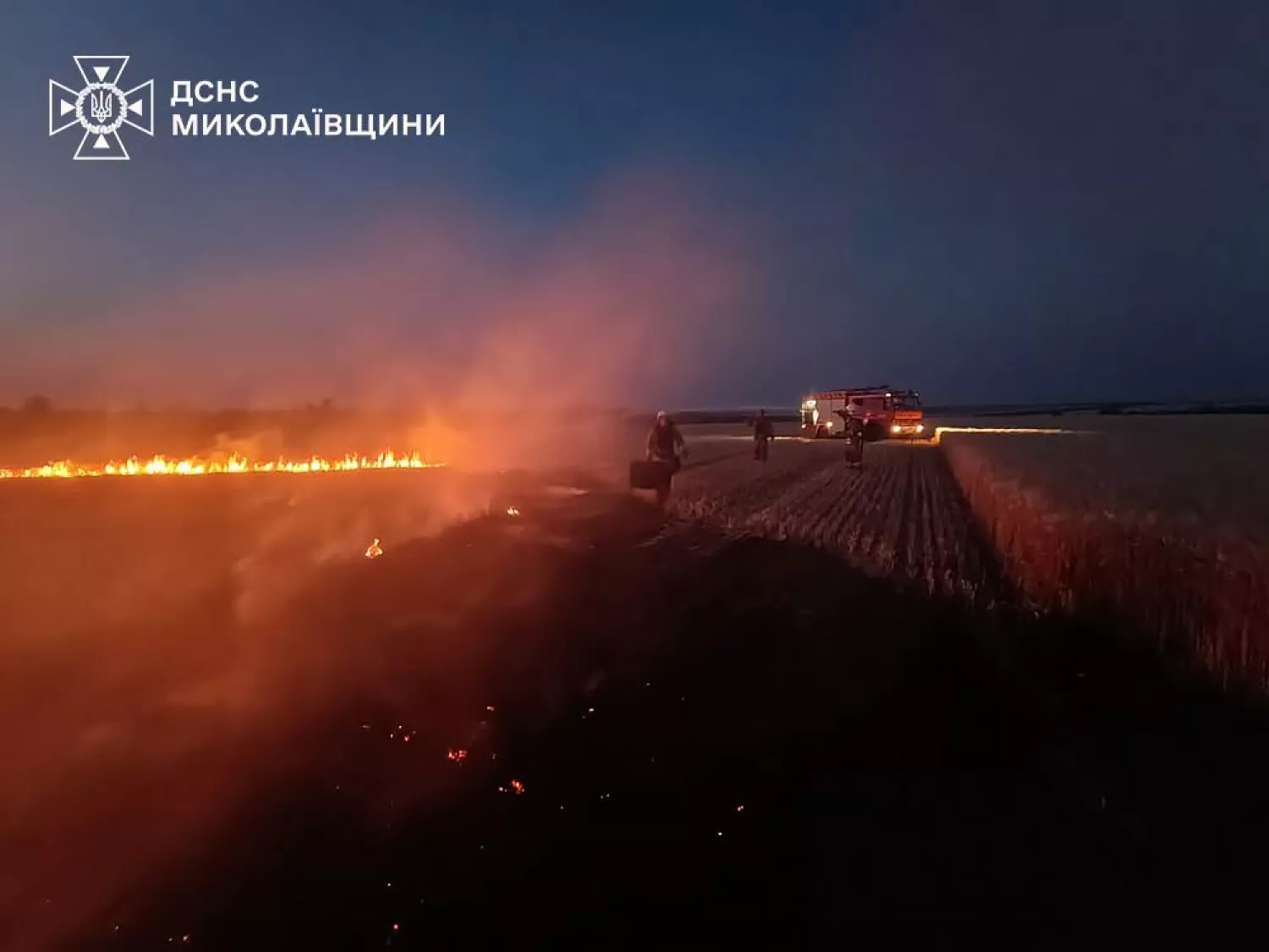 На Миколаївщині 1 липня сталися 53 пожежі. Фото: ДСНС