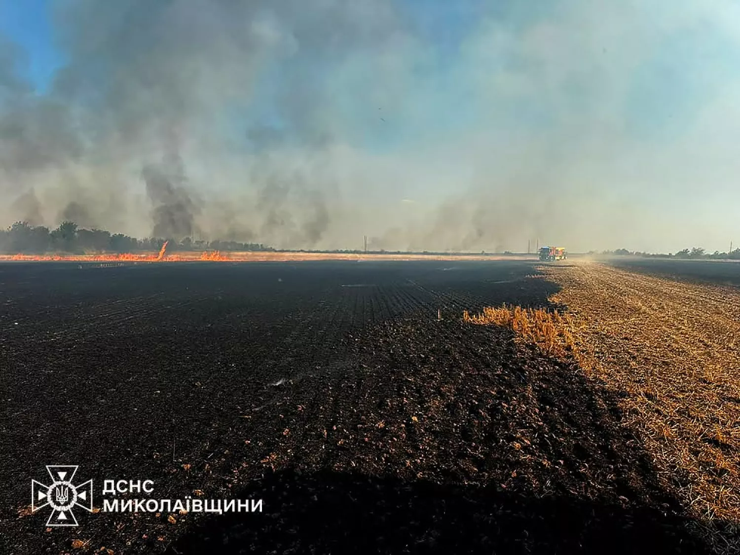 На Миколаївщині 1 липня сталися 53 пожежі. Фото: ДСНС