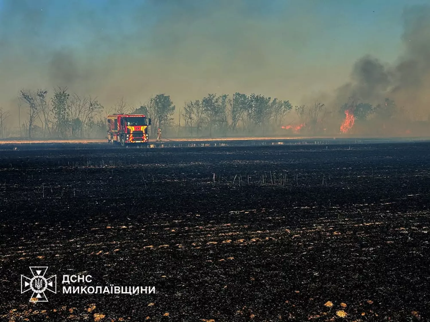 На Миколаївщині 1 липня сталися 53 пожежі. Фото: ДСНС