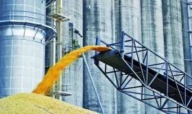 Податкова виявила порушення на агропідприємстві: до бюджету сплатили понад ₴23 млн. Ілюстративне фото: Дрогобицька районна військова адміністрація