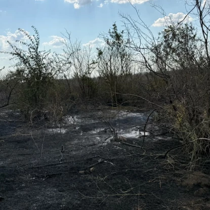 Пожежа на сміттєзвалищі на Одещині. Фото: Держекоінспекція