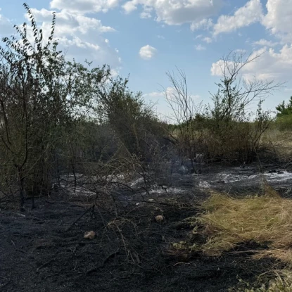 Пожежа на сміттєзвалищі на Одещині. Фото: Держекоінспекція