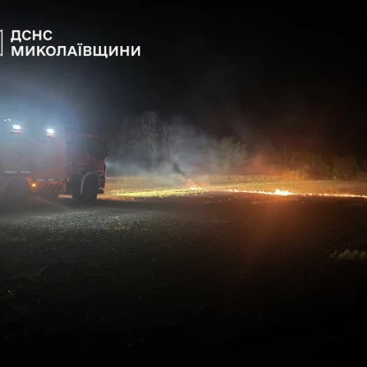 Ліквідація пожежі в Миколаївській області. Фото: ДСНС Миколаївщини