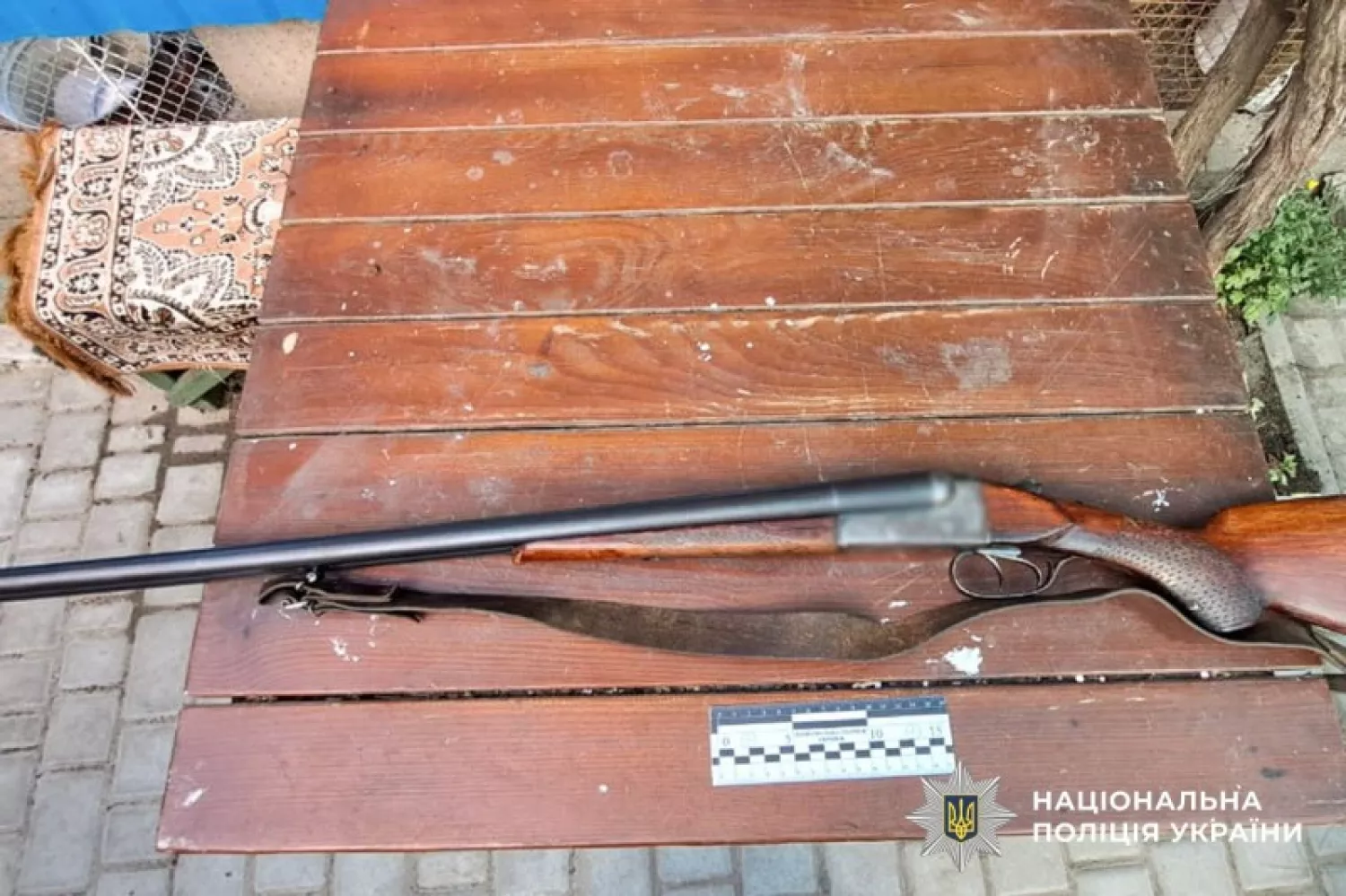 На Миколаївщині чоловік застрелив безпритульного собаку. Фото поліція Миколаївської області