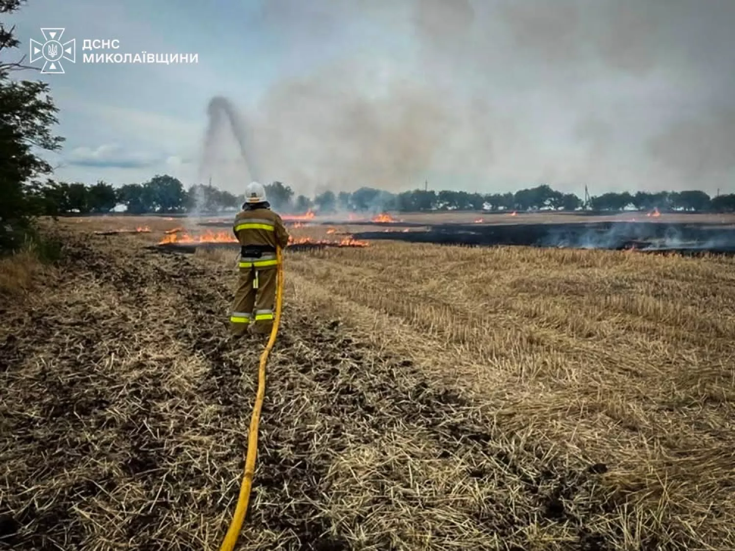 Ліквідація пожежі в Миколаївській області. Фото: ДСНС Миколаївщини