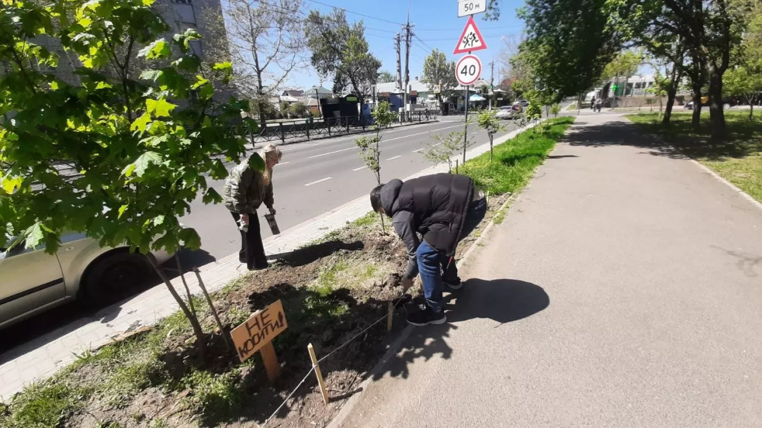 Миколаївські школярі взяли під опіку молоді дерева. Фото: Інни Тимченко