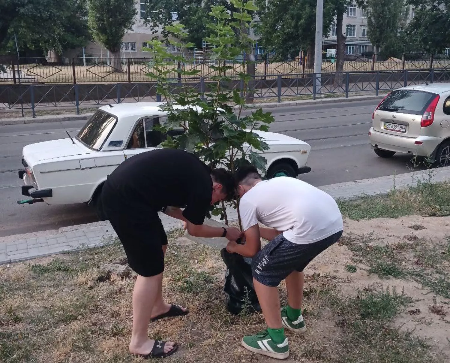 Миколаївські школярі взяли під опіку молоді дерева. Фото: Інни Тимченко