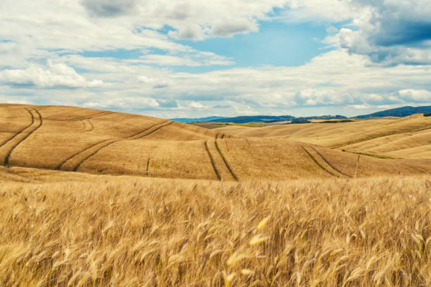 Ілюстративне фото istockphoto
