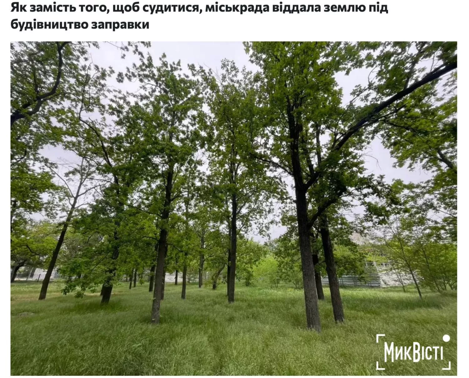 Журналісти МикВісті рік тому відтворили хронологію рішень та судів навколо землі у зеленій зоні, де вирішили будувати АЗС, скриншот з сайту МикВісті