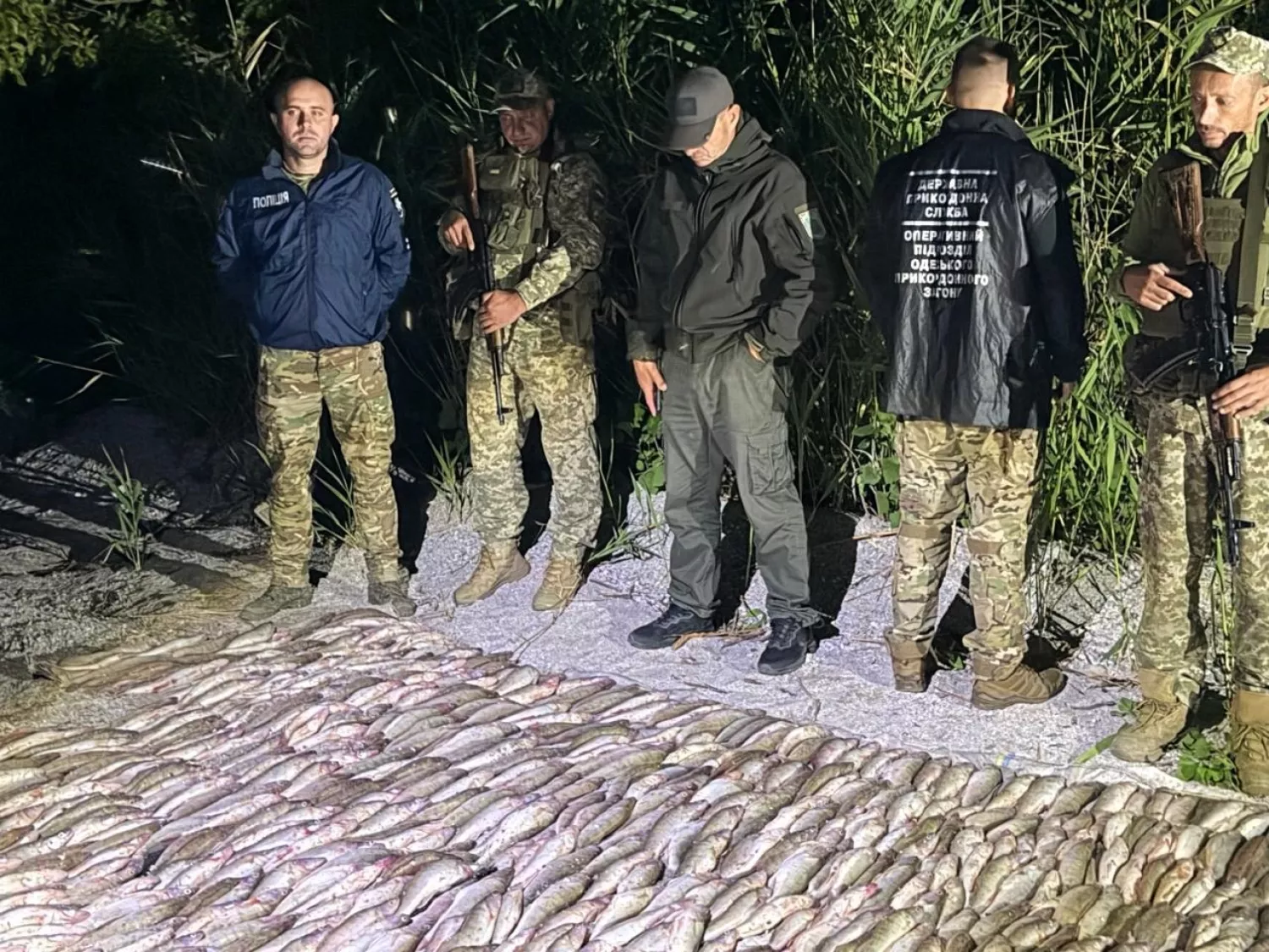 Незаконно виловлена риба. Фото Держекоінспекція Південно-Західного округу
