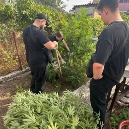 У Миколаєві чоловік вирощував коноплі та зберігав понад 10 кг канабісу. Фото: прокуратура Миколаївської області