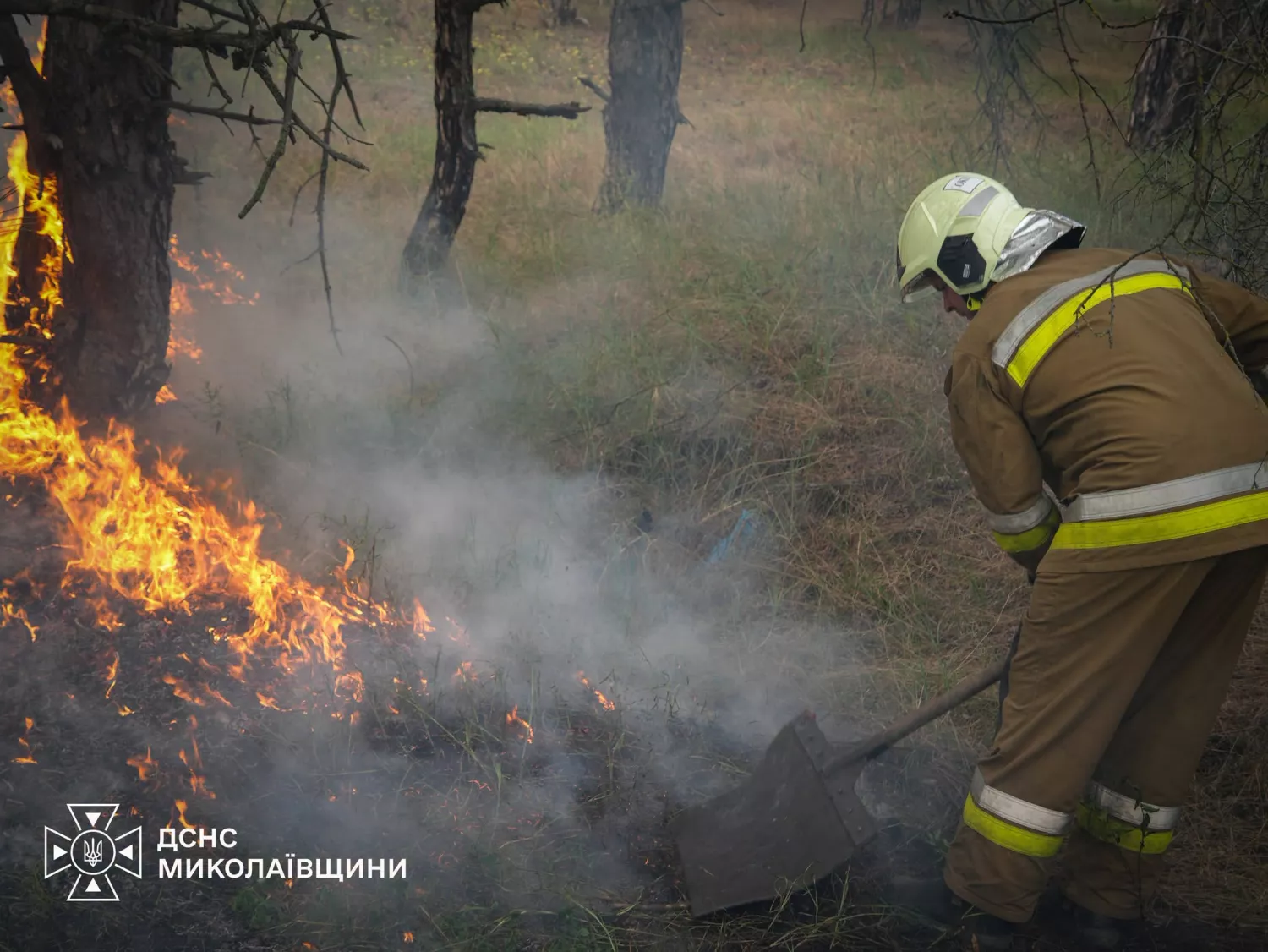 Ліквідація пожежі в Миколаївській області. Фото: ДСНС Миколаївщини