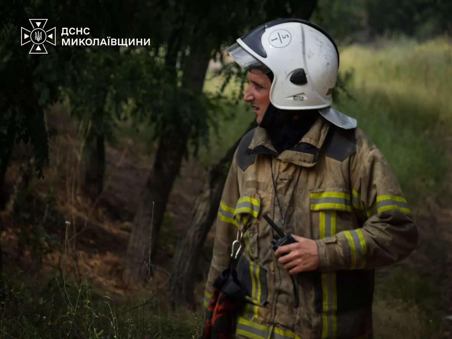 Ліквідація пожежі в Миколаївській області. Фото: ДСНС Миколаївщини
