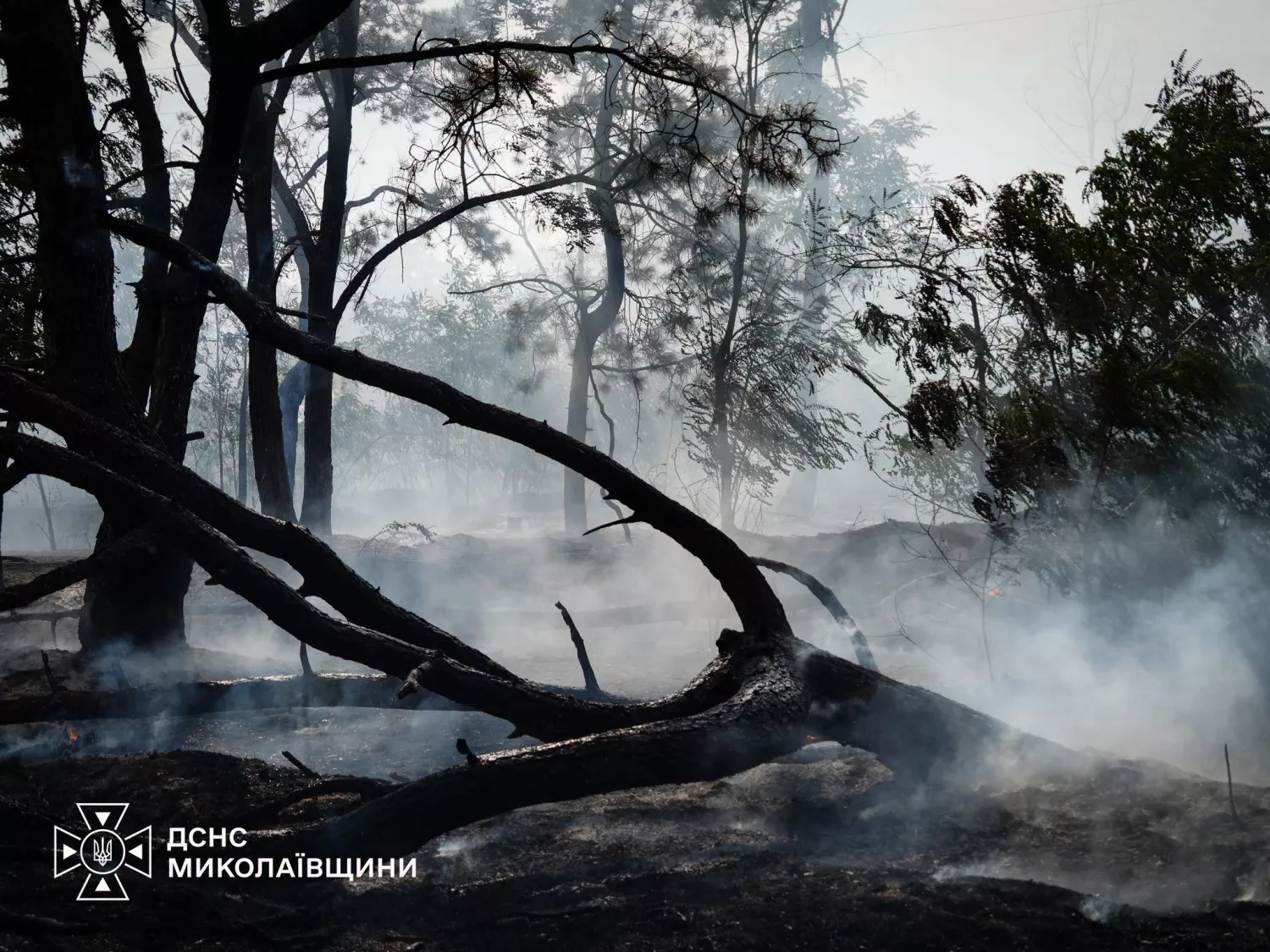 Ліквідація пожежі в Миколаївській області. Фото: ДСНС Миколаївщини