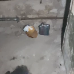 Стан укриття на проспекті Центральному, 69. Скриншот з відео