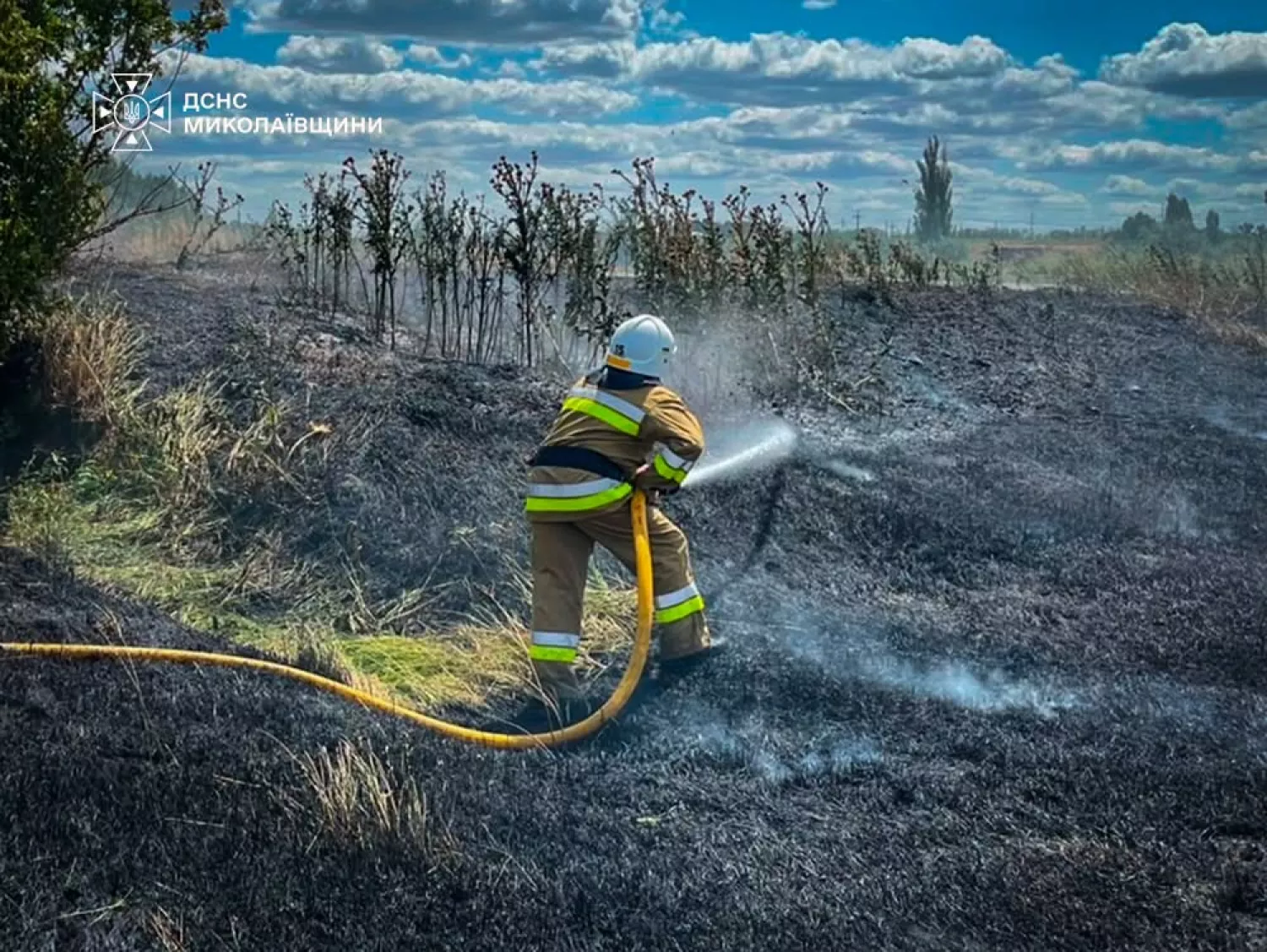 Ліквідація пожежі в Миколаївській області. Фото: ДСНС Миколаївщини