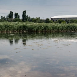 Озеро у парку «Ліски». Фото: НикВести