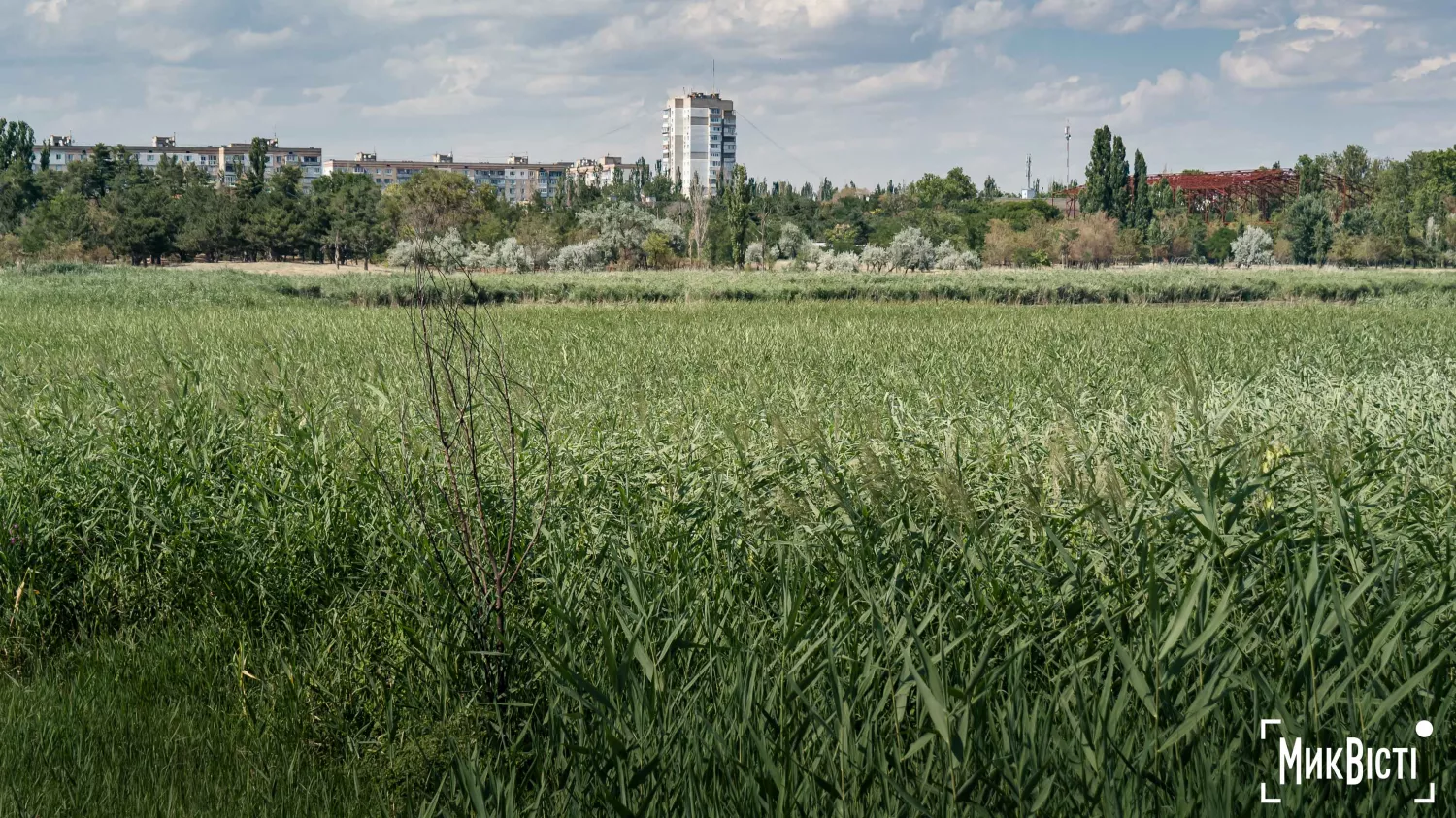 Парк «Ліски». Фото: НикВести