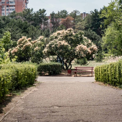 Парк «Ліски». Фото: НикВести